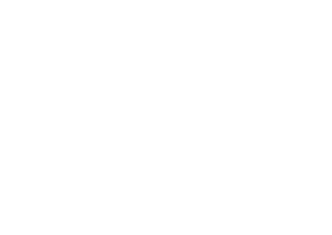 MC Development